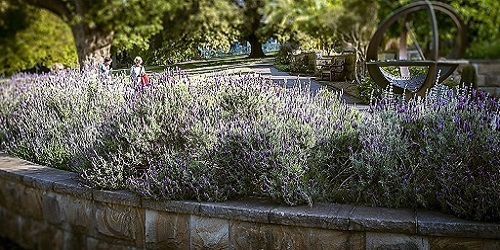 aerzte und Medizin Banner